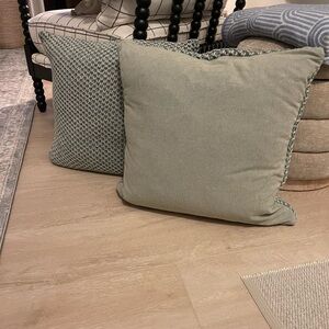 2 Pottery Barn Pillows (22x22)